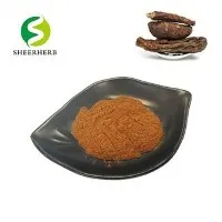 Extrato de Cistanche Tubulosa