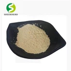 Isoflavonas de soja em pó