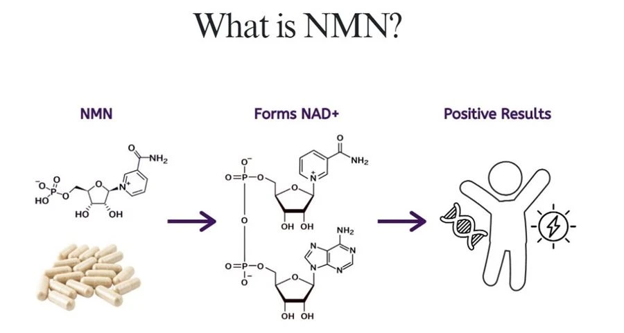 nicotinamide mononucleotide powder 8