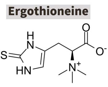 Ergothioneine-1 Ergothioneine-1