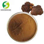 Extrato de Cogumelo Chaga