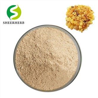 Extrato em pó de Boswellia Serrata