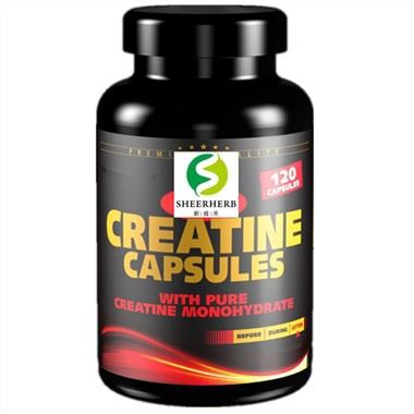 Cápsulas de monohidrato de creatina de marca própria OEM