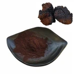 Extrato de cogumelo Chaga orgânico em pó