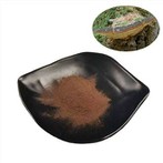 Extrato de Phellinus Linteus