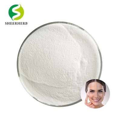 Lisado de Fermento Bífida