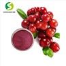 Cranberry Extract Powder