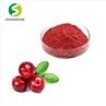 Cranberry Extract Powder