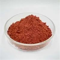 Melhor suplemento de ferritina